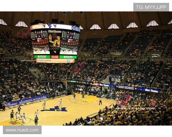 7m体育手机登录入口最新官方入口地址全面更新，便捷快速登录体验提升