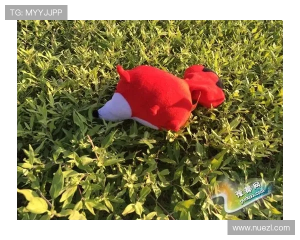 尊龙手机app优化升级动态，第一时间掌握最新版本更新内容与新增功能