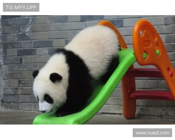 通过熊猫体育app参与体育竞猜赢取丰富奖励，体验更刺激的体育娱乐新方式