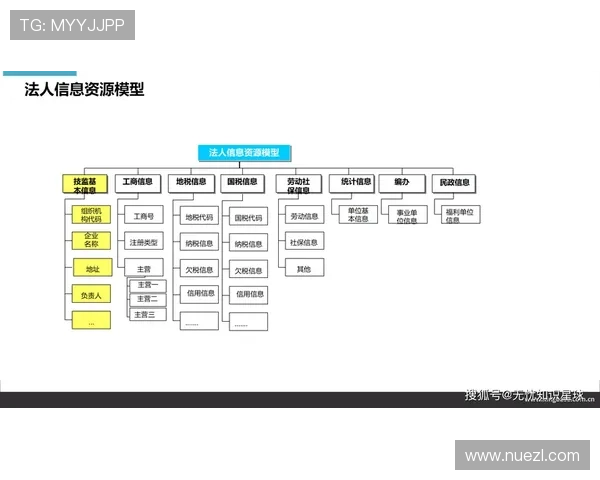 龙8体育体育赛事数据分析助你做出科学投注决策
